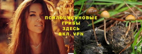 PSILOCYBIN Бугульма